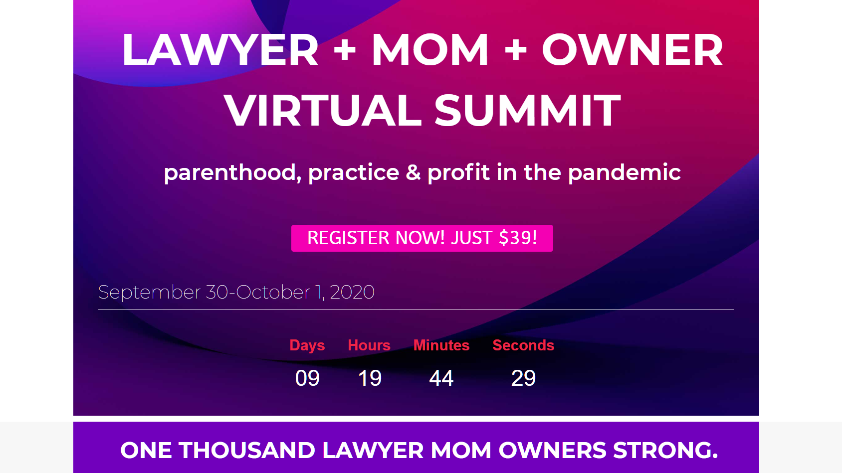The Lawyer+Mom+Owner Summit: Interview with the Organizers on Why You Should Attend