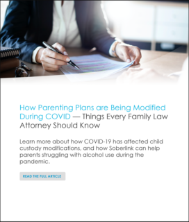 Featured on LawSitesResources: Guide for Family Lawyers on Parenting Plans | LawSites